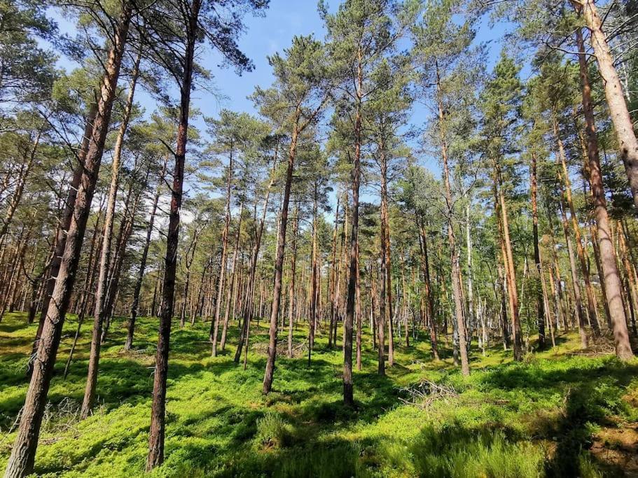 Campolohel- Przyczepa Kempingowa エクステリア 写真
